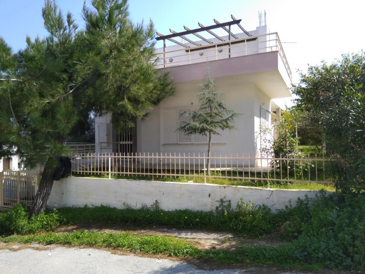 Thanasis Villa Kounoupidhianá Exterior photo